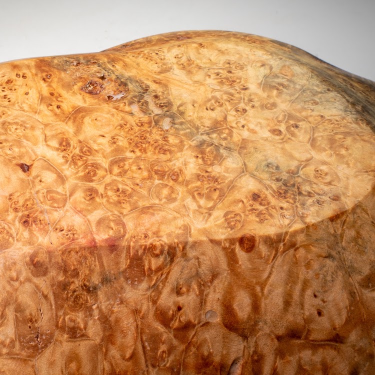 Manitoba Maple Burl - St. Boniface - 15" view 6