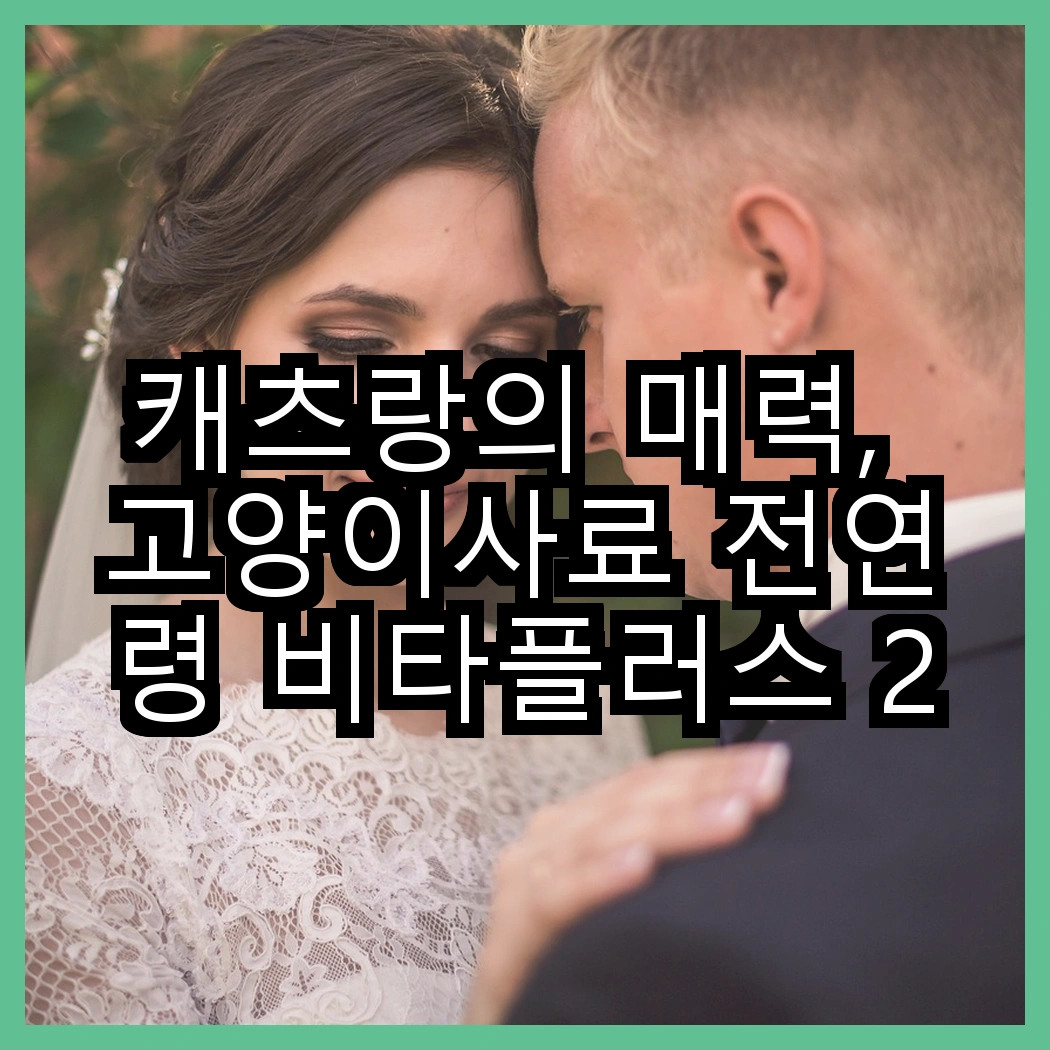 캐츠랑의 매력, 고양이사료 전연령 비타플러스 20kg 점보와 리브레 5kg X 2개는 어떤 차이가 있을까? 썸네일