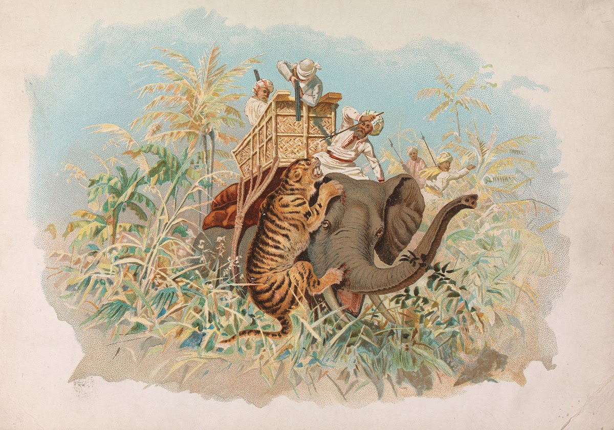 Tiger Hunting