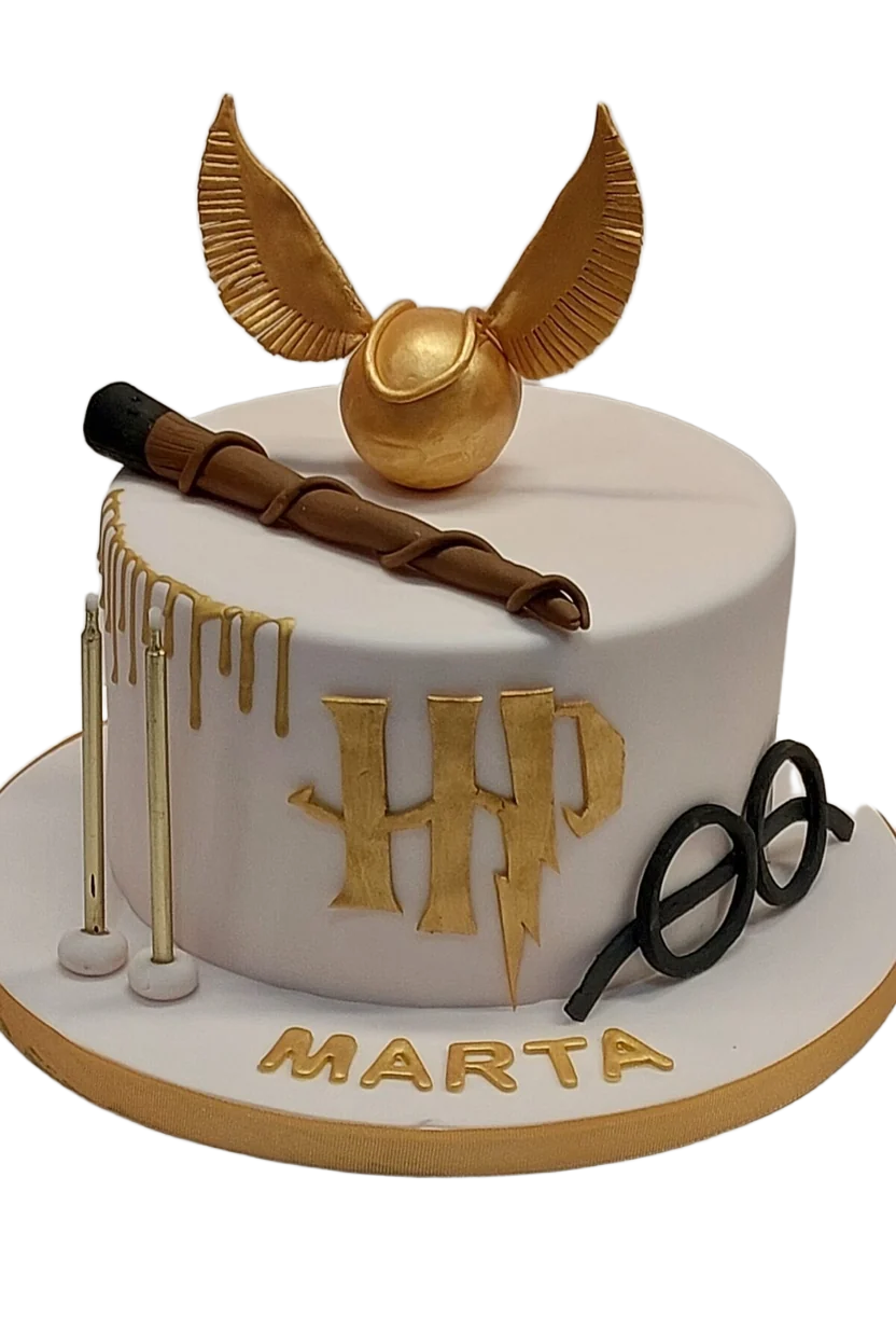 Harry Potter Birthday Cake CB-NC599