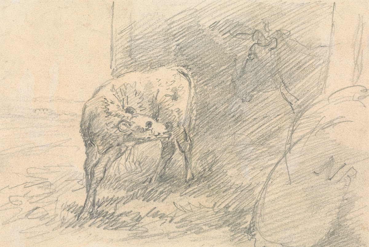Calf with Head of a Cow
