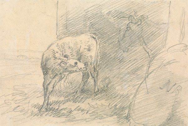 Calf with Head of a Cow