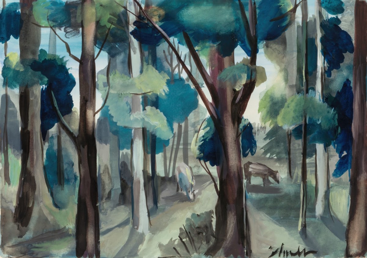 Forest Scene ca 1930 1939