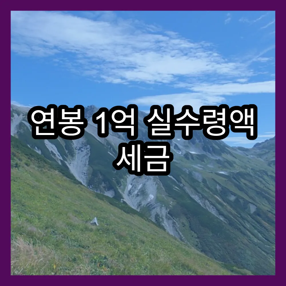 연봉 1억 실수령액 세금 계산법과 세금 부담 비교