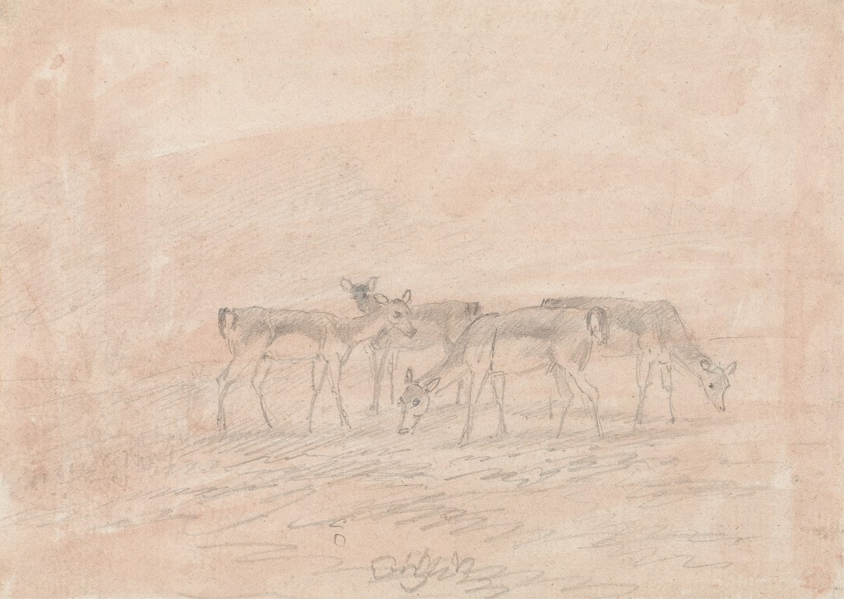 Four Deer