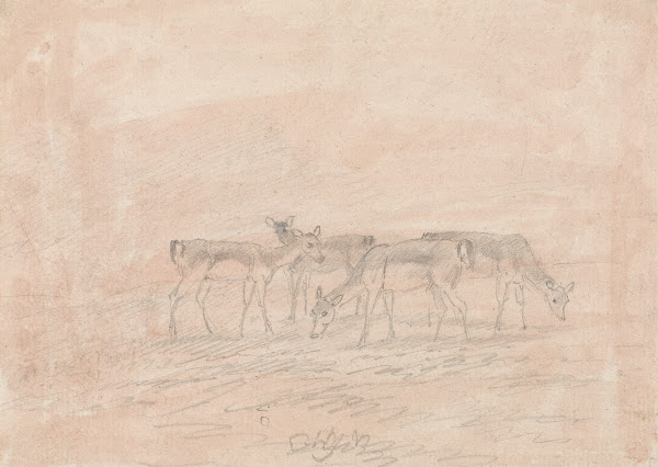 Four Deer