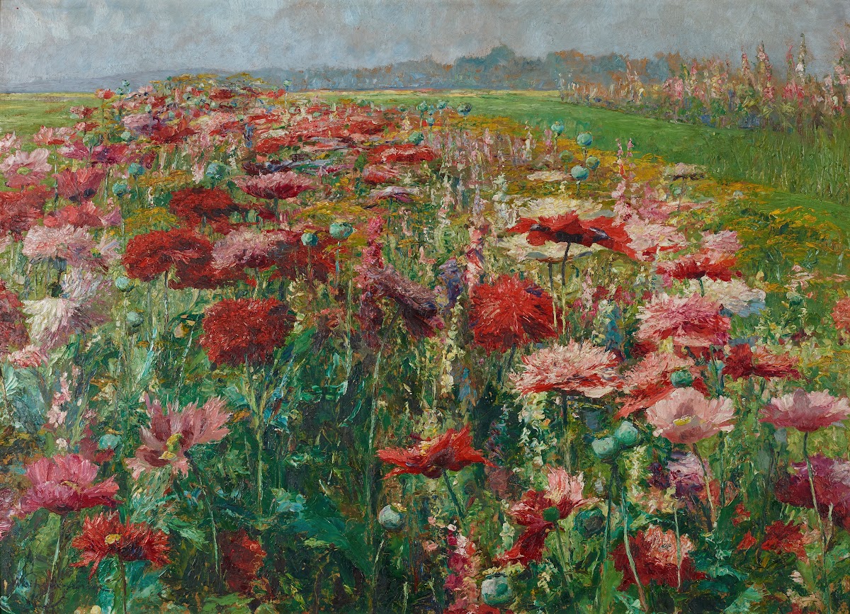 Blühender Mohn 1895 1900