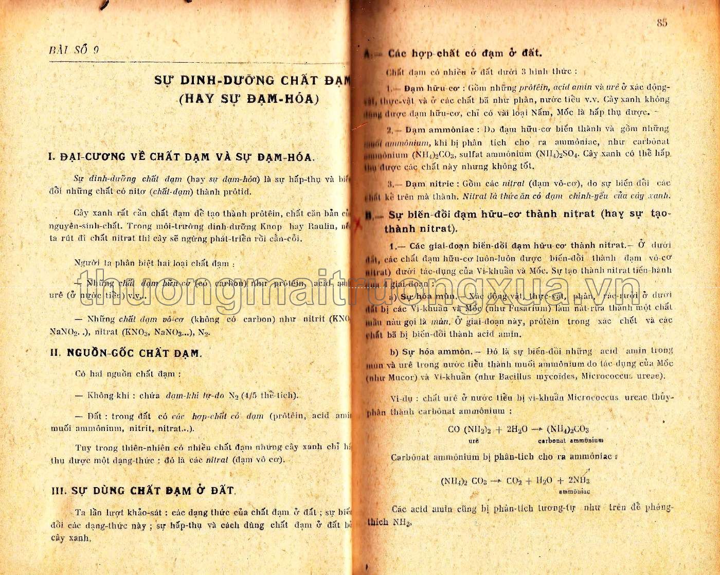 Vạn vật học đệ nhị A (1965) - Trang 42