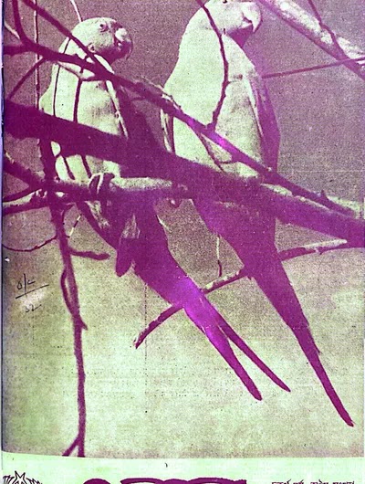 এলান