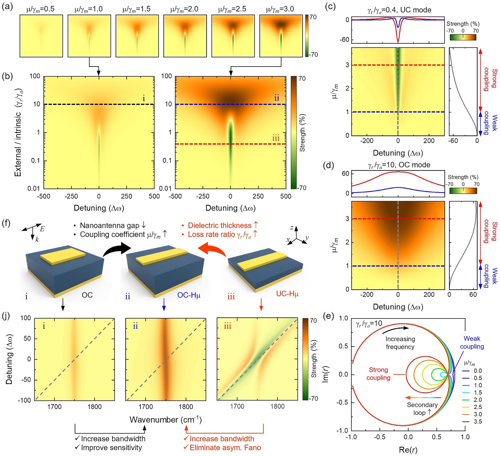 Tailoring Light–Matter Interactions in Overcoupled Resonator for Biomolecule Recognition and Detection