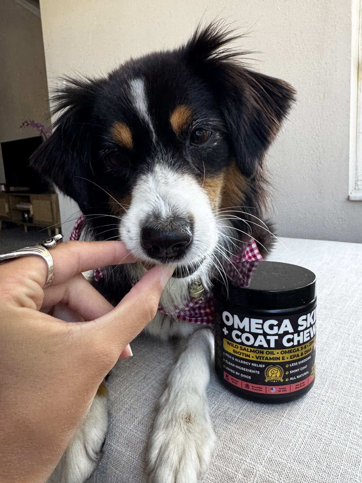 Omega 3 Pup Choice — influencer photo — theme: spring allergies in dogs