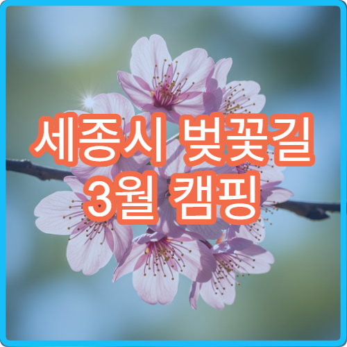세종시 벚꽃길 3월 캠핑 차박 즐기기 좋은 스팟