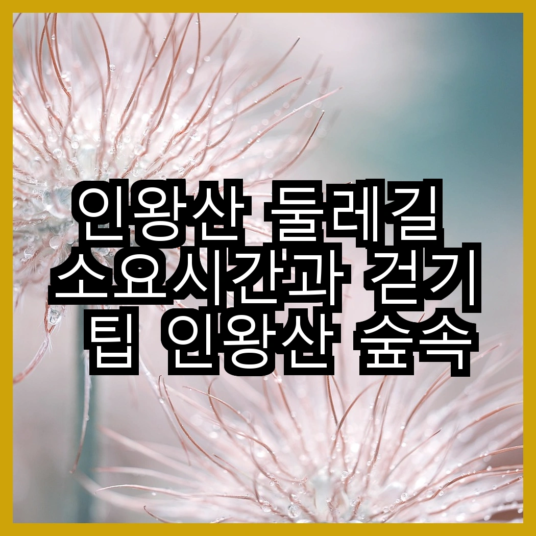 인왕산 둘레길 소요시간과 걷기 팁 인왕산 숲속쉼터 추천 명소 썸네일