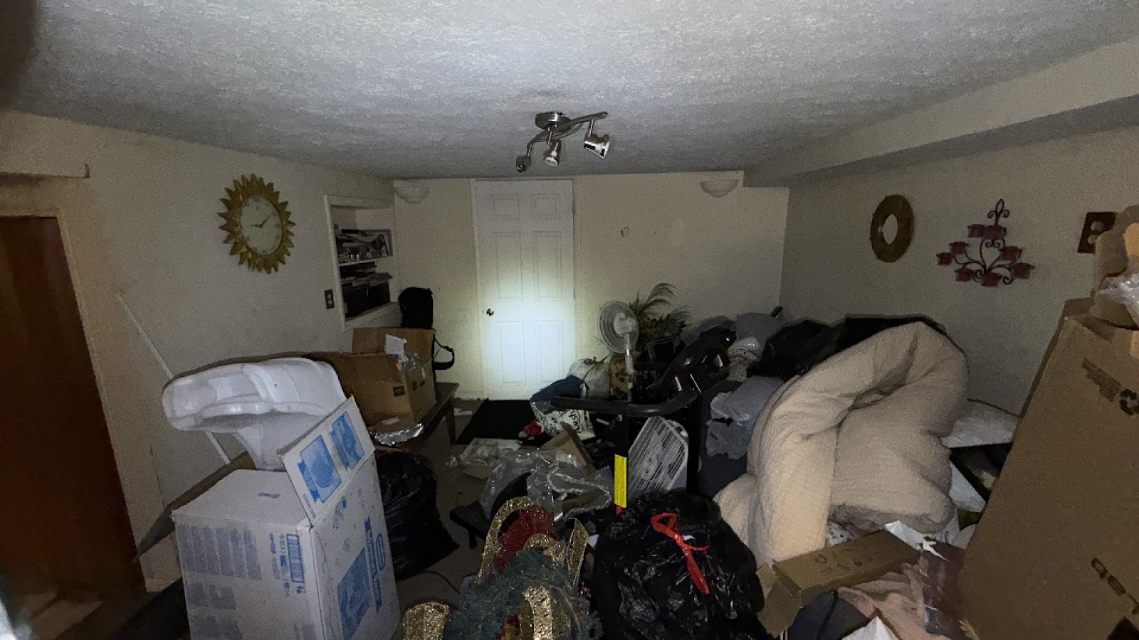 Copy of IMG_2026-03-13_14-29-26_588.jpg