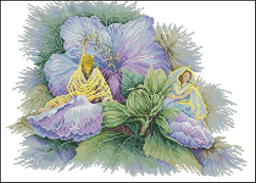 CMP 220036 Hibiscus