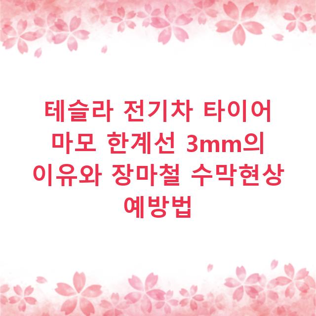 테슬라 전기차 타이어 마모 한계선 3mm의 이유와 장마철 수막현상 예방법