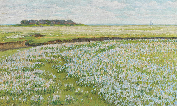 A Vast Summer Landscape