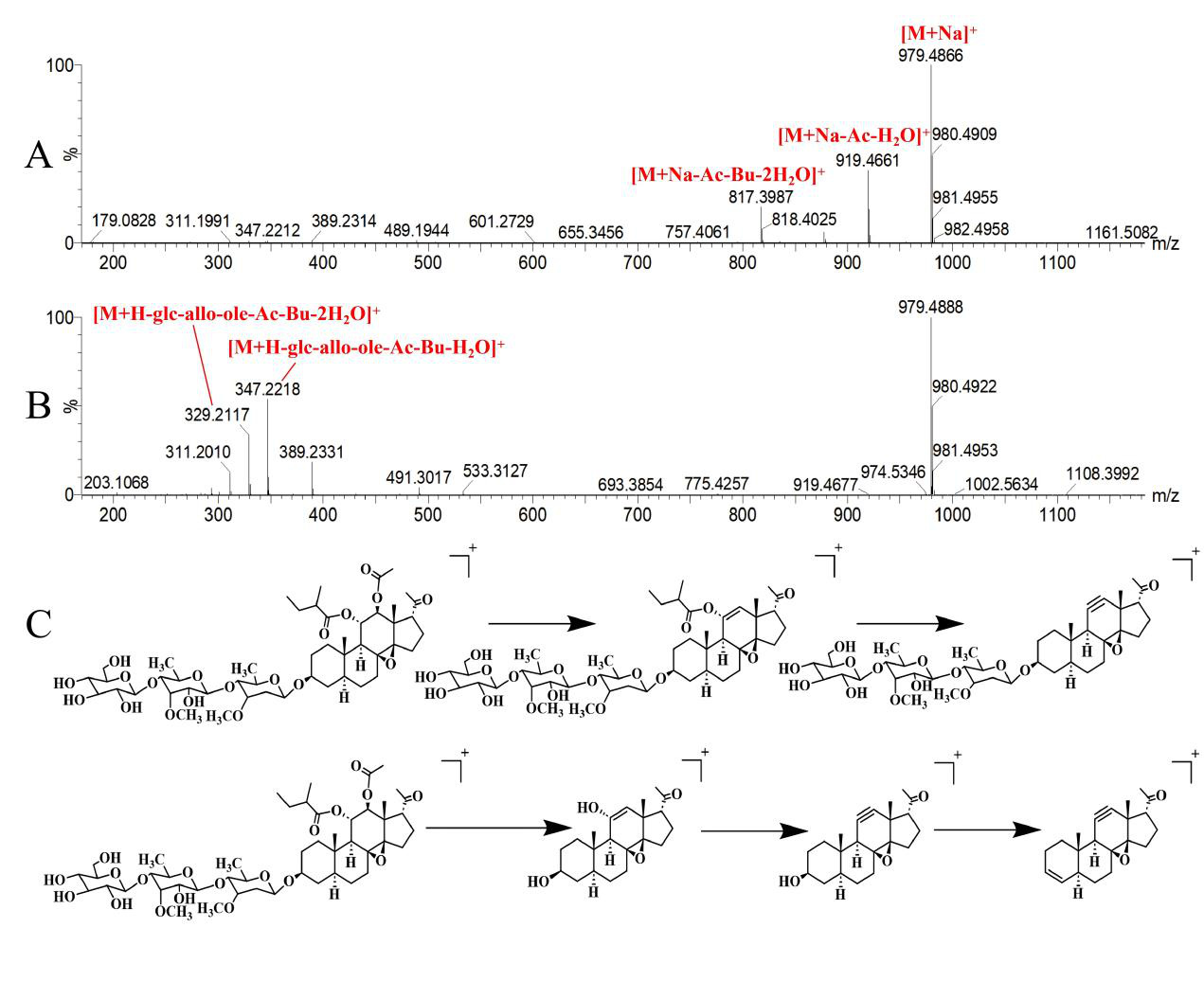 Chemical Exploration on the Botanical Origin of Tong-guan-teng and Analysis of Its Major Constituents