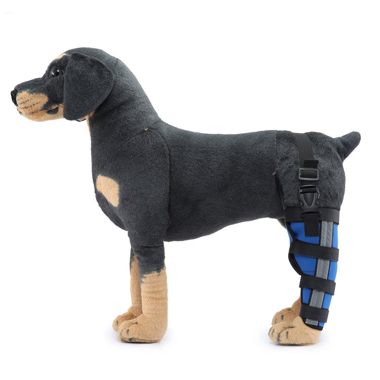 Hinterbein-Stützmanschette für Hunde, ganzjährig