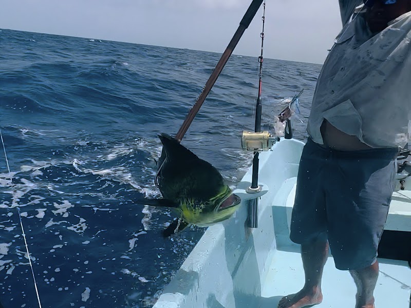 Pesca privada en alta mar — Akumal (11/13)
