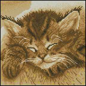 CMP 280037 Sleepy