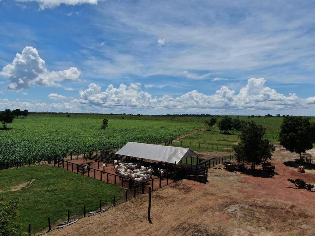 Fazenda no Município de Nova Crixas - GO. 7