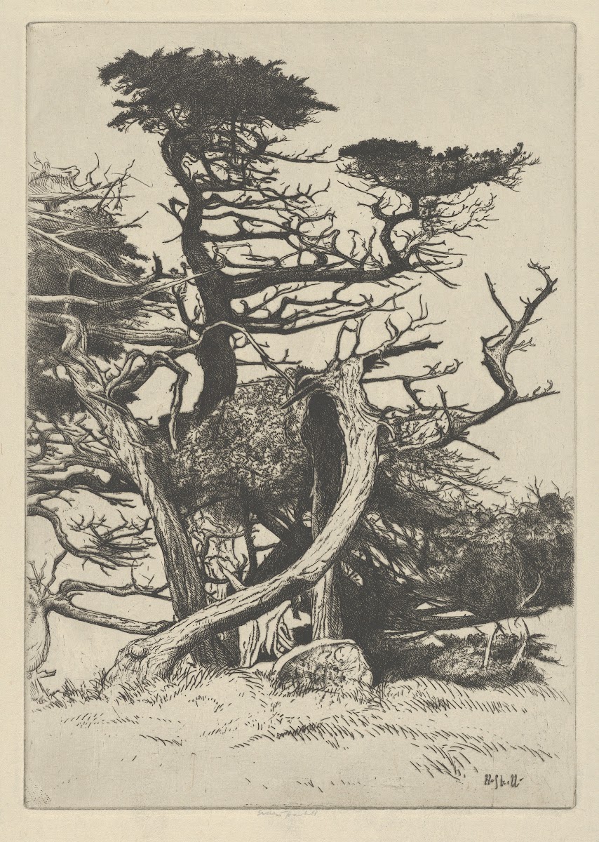 Line of Beauty 1920