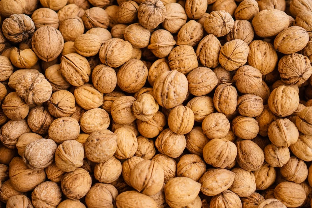 How Eating Nuts Affects Sperm Count and Quality