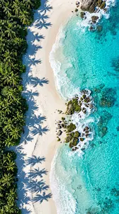 Aerial View of Tropical Beach with Palm Tree Shadows and Rocks