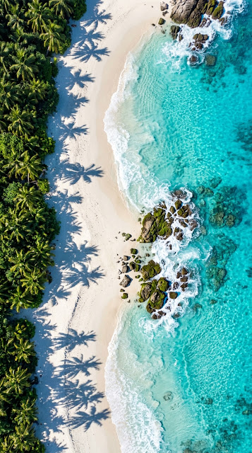 Aerial View of Tropical Beach with Palm Tree Shadows and Rocks - Free mobile Wallpaper