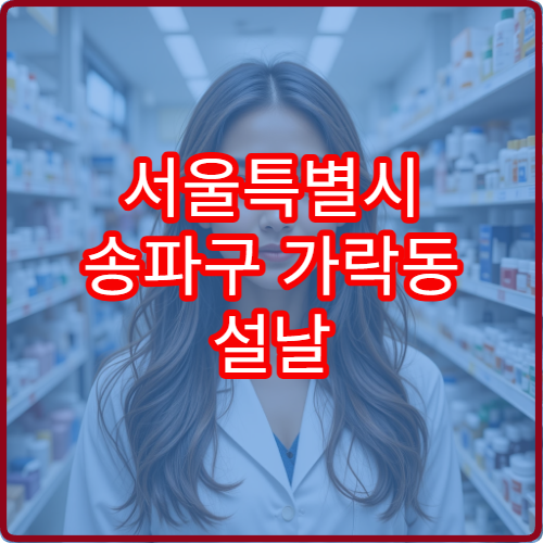 서울특별시 송파구 가락동 설날 명절 연휴 당번약국 운영시간 및 위치 안내