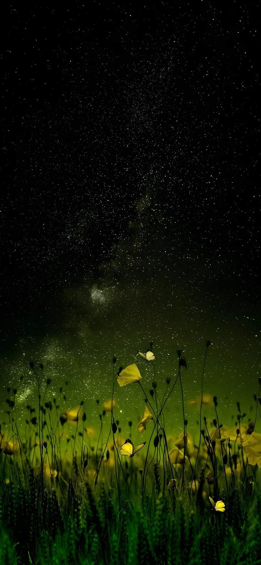 Starry Night Sky Above Yellow Wildflower Field - Free 4K mobile Wallpaper