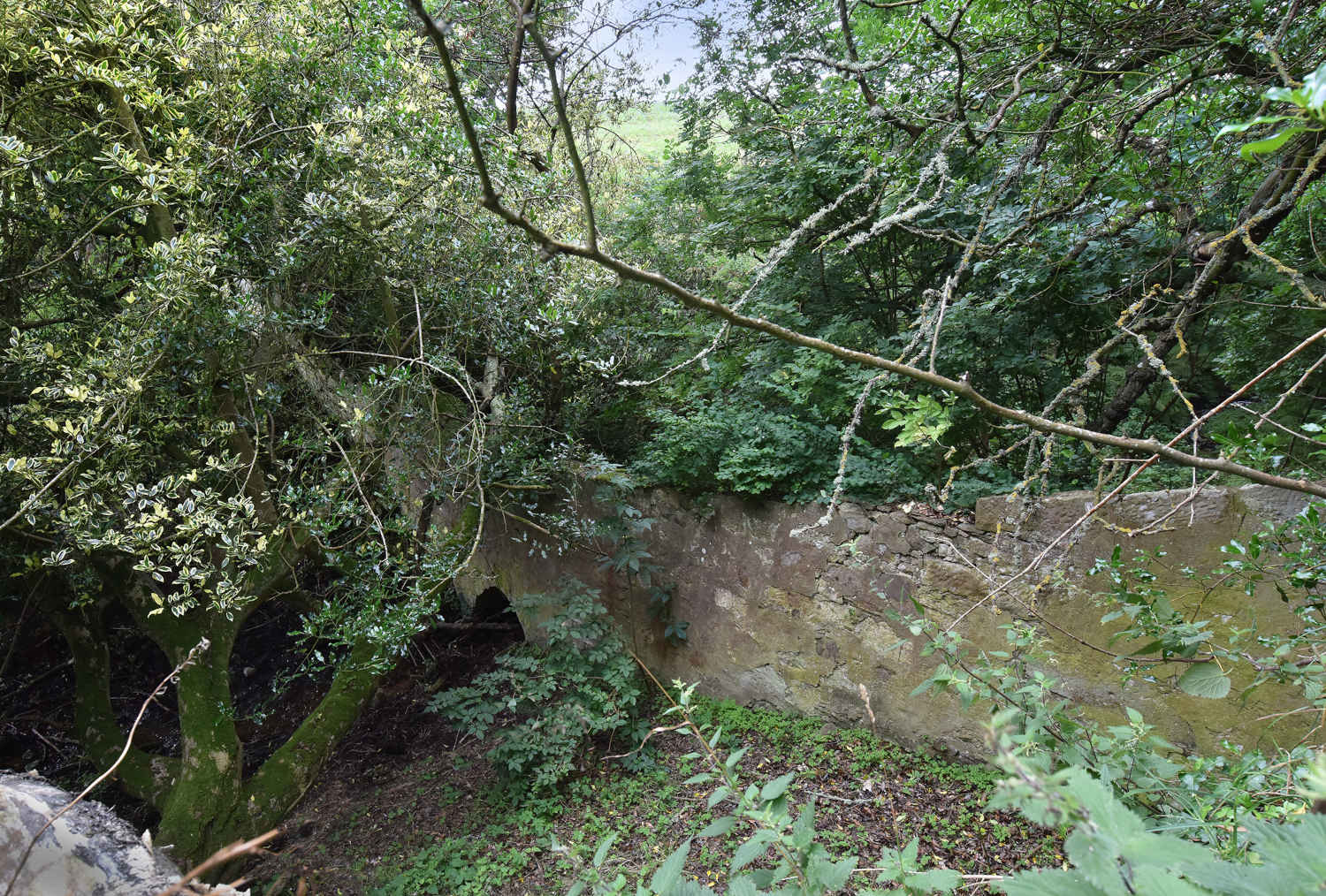 Udale_story_grounds_south_wall_and_stream_through_it_Udale0822_20.jpg