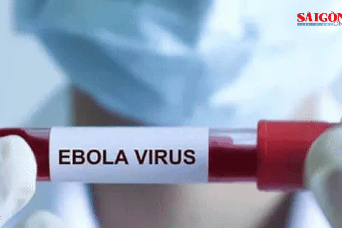 Hơn 80 ca tử vong nghi do nhiễm virus Ebola ở Congo, Bộ Y tế ra thông báo khẩn - Báo Sài Gòn Giải Phóng