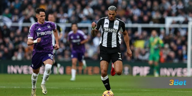 Soi kèo Newcastle vs Fulham 03h15 ngày 18/12/2025 cùng 3BET