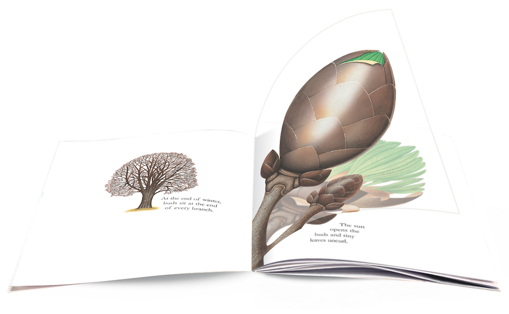 Trees PB - thumbnail 2