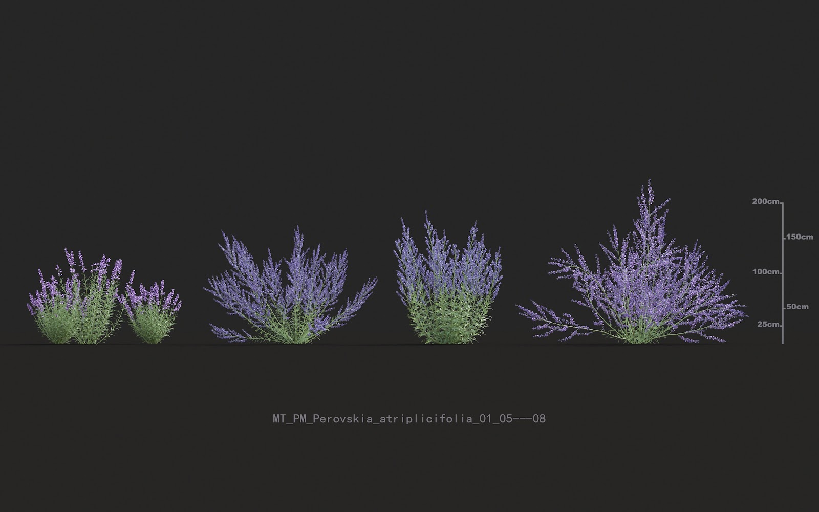 Maxtree - Plant Models Vol.20