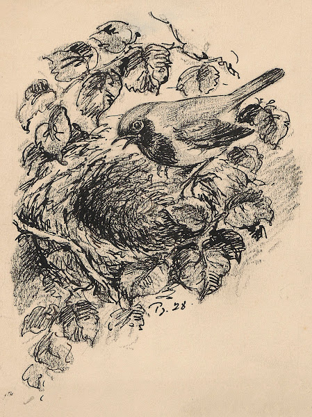 Bird in a birds nest 1928