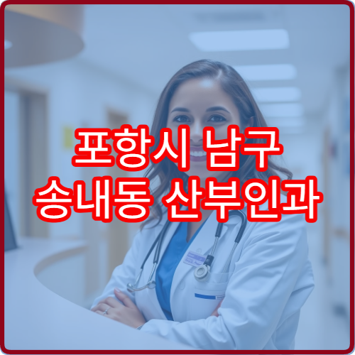 포항시 남구 송내동 산부인과 설날 연휴 진료 병원 응급 정보