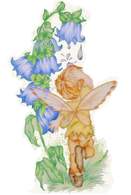 HAE KT313 Bluebell Pixie