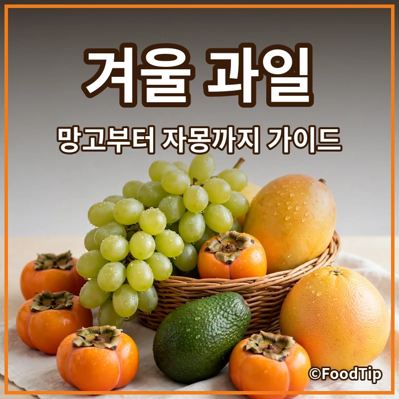 4060을 위한 겨울 과일 쇼핑 가이드: 태국 망고부터 메로골드 자몽까지!