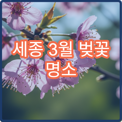 세종 3월 벚꽃 명소 재방문 이유 평일 vs 주말 후기