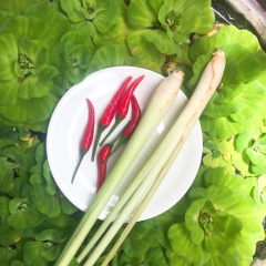 Chuẩn bị các nguyên liệu như hình. Cá hố mua về rửa sạch, cắt khúc có độ dài 6cm, để ráo nước. Sả tách ra từng lớp, rửa sạch lớp phấn bên trong, ớt rửa sạch và đêm băm nhỏ 2 nguyên liệu này.