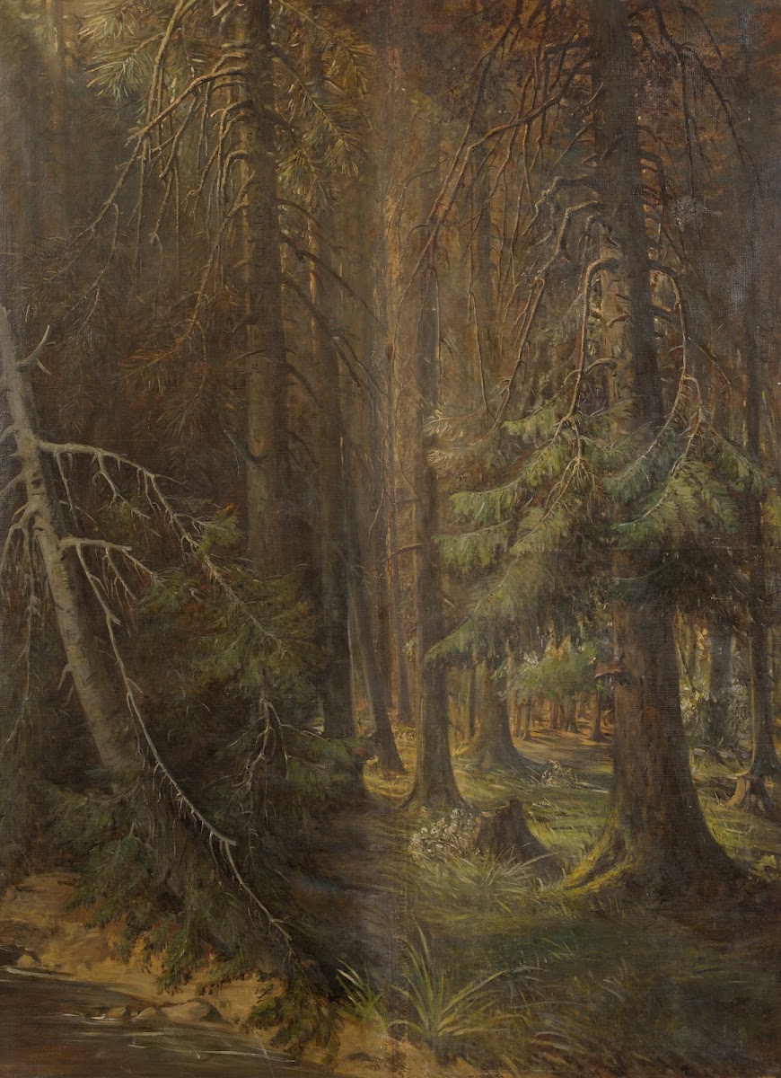 Forest between 1855 and 1858
