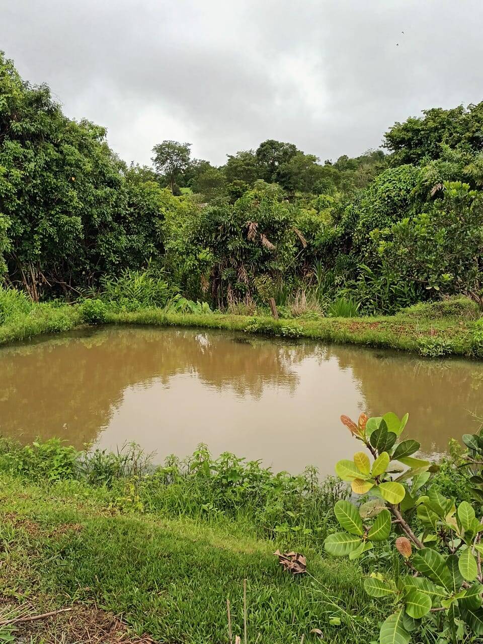 Chácara no Município de Jaraguá - GO 2