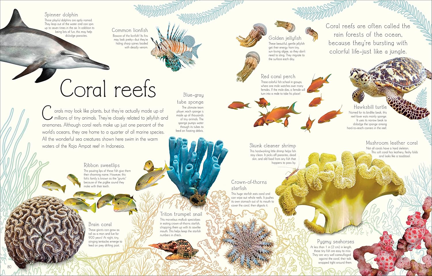 An Anthology of Aquatic Life - thumbnail 2