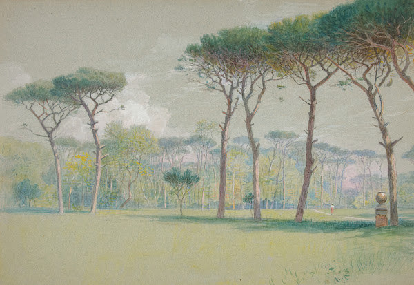 Castel Fusano Landscape  vast lawn andtrees