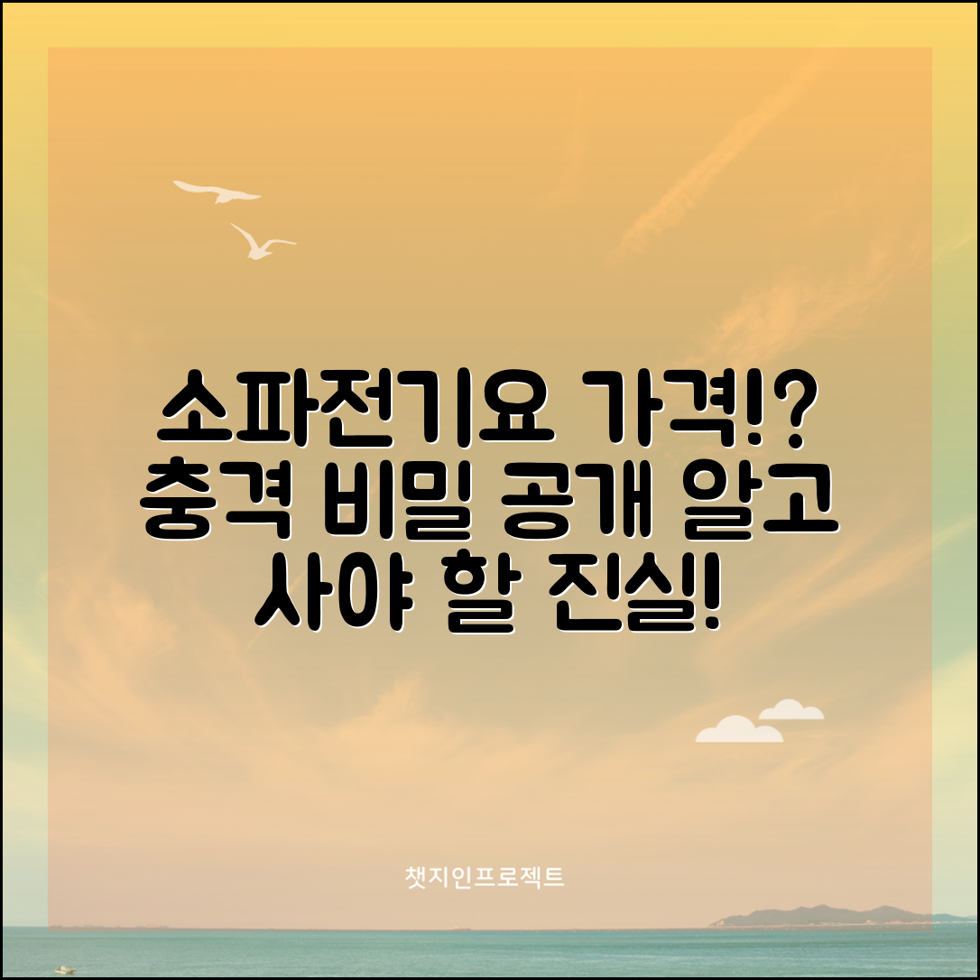 충격적인 소파전기요 가격 비밀 공개!