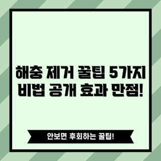 날파리포충기, 집안 해충 제거, 날파리 제거 방법, 해충 퇴치 기기, 효과적인 해충 방지
