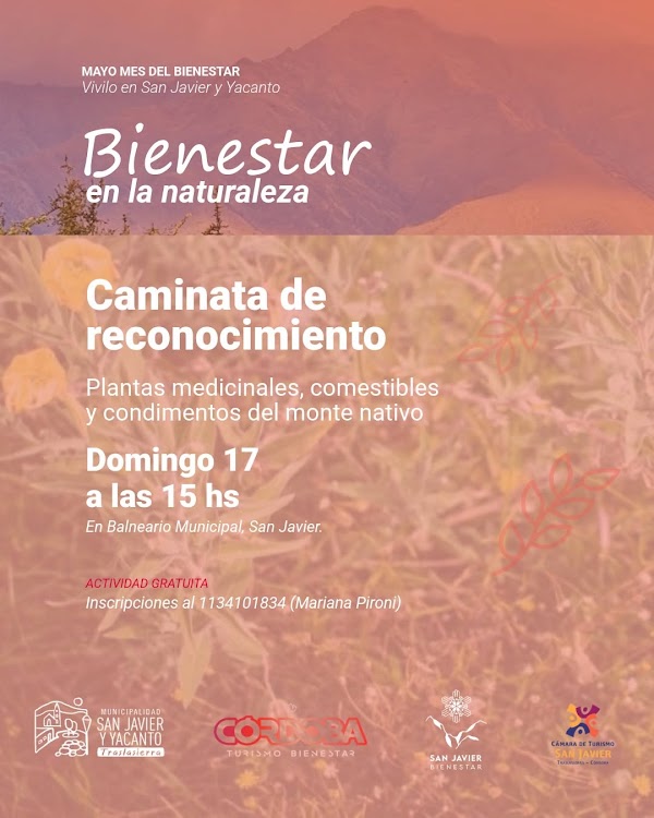 Mes del Bienestar